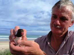 Contents Contributions Acknowledgements Disclaimer