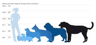 Dog Breed Size Chart Goldenacresdogs Com