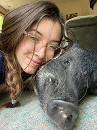 Dogs competing for kitchen bed space