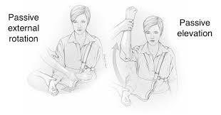 Image result for Shoulder Range of Motion Exercises
