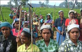 Sri Lanka: Towards a political vision combining social justice and pluralism - Sunil Bastian • Sri Lanka Brief