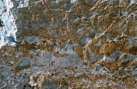 Magnesio e potassio negli alimenti / magnesio e potassio come introdurre questi importanti alleati tisanoreica brescia. Il Potassio Negli Alimenti Cure Naturali It