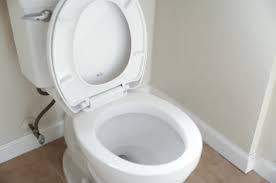 I know you don't want to. How To Fix A Gurgling Toilet Step By Step Guide