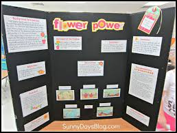 Biology Science Fair Projects For 11th Grade No School Project Strikes Fear In Hearts Of Kids Parents And Teachers Quite Like The Scie Easy Science Fair Projects Science Fair Science Fair Projects Boards