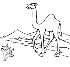 We've got all the popular animals to color including cats, dogs, farm animals, lions, birds, fish and so much more! Desert Coloring Pages Best Coloring Pages For Kids