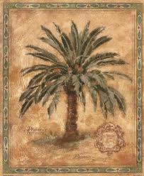 Image result for Phoenix reclinata