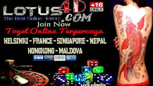 • wap.lotus4d.net is mostly visited by people located in france,indonesia. Daftar Agen Togel Online Terpercaya