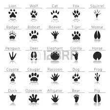 trace animaux banque d images vecteurs et illustrations libres de droits animal tracks survival animals coloriage armoiries du liechtenstein