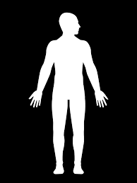 Kreatif projeleriniz için 4k ve hd 7.364 family strokes stok video klibi. How Coronavirus Attacks The Human Body The Washington Post