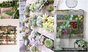 Erfahren Sie Was Ist Der Unterschied Zwischen Terrasse Und Balkon Heute Balkon Erfahren Heute Terrasse Unterschied Paletten Garten Palettengarten Garten