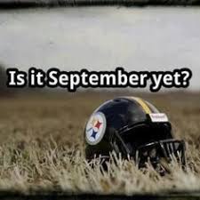 35 Pittsburgh Steelers ideas