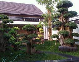 Tukang Taman Gresik Jasa Tukang Taman Di Gresik Jasa Pembuatan Taman Di Gresiksalwaalamart Salwa Alam Art Di 2021 Desain Arsitektur Lanskap Taman Desain Kebun Modern