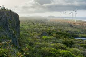 Image result for Cliff Green 1980 Hyundai