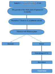 Image result for Spermacoce ocymoides