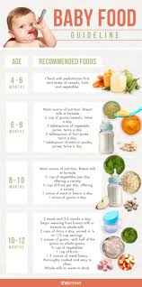 when to start solids your baby food guide sheknows