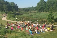 Yoga in the Park – Dexter
