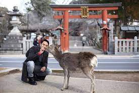 Kami telah merancang untuk untuk bercuti ke tokyo,jepun. Itinerari Trip 7 Hari Ke Jepun Dan 1 Kesilapan Yang Telah Aku Buat