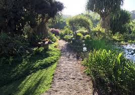 Moon Garden Tagaytay Tagaytay City Philippines Best Price Guarantee
