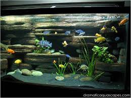 Diy Aquarium Background Rock Ledges Aquarium Backgrounds Aquarium Fish Aquarium
