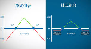 在現今四項泳式當中，蝶式（又名蝶泳，英文為 butterfly stroke）是近代被列為規定泳式的一種，它是為了提高 蛙泳 速度而演變出來的泳式，於1956年第十六屆奧運會成為正式的比賽項目；而在外觀上，因為其空中移臂的動作跟蝴蝶展翅很像，所以稱為「蝶式」。. æœŸæƒæ³¢åŠ¨çŽ‡ç­–ç•¥ è¶å¼ç»„åˆ