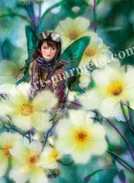 横田美晴 w winter cosmos 自筆サイン エディションナンバー入り限定版画 fairy paintings art miharu