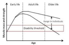 Chart Muscle Loc London Osteoporosis Clinic