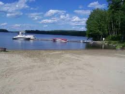 Image result for Lintonia