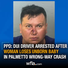 ARRESTED: A drunk driver was arrested after driving the wrong way down a  bridge and causing a crash that took the life of an unborn baby, Palmetto  police said. STORY: https://8.wfla.com/426CTKB