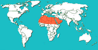 Map of sahara deserts with countries. Sahara Desert Mind Map