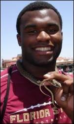 Myron Rolle, Tennessee, Safety
