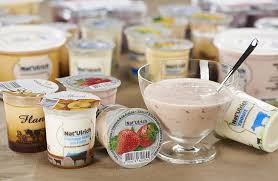 Yaourts Ferme St Ulrich 67 Mure Myrtille Vanille Framboise Myrtille Recette Framboise