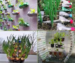 Share in the comments below! 9 Diy Plastic Bottle Garden Projects
