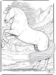 Enjoy coloring a pretty sight of a horse with its foal and appreciate more about family of horses. The Stallion Horse Coloring Pages Horse Coloring Animal Coloring Books