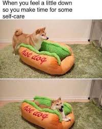 Wholesome Animal Memes To Start The Week Off Right Animal Memes Really Funny Memes Funny Relatable Memes