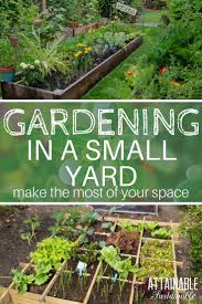 There are some plants that will not do very well in this area of your yard, and some that will grow very well in this space. Planning A Small Garden Maximizing Your Productive Space Growing Vegetables Vegetable Garden Herb Garden
