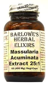 Image result for Massularia acuminata