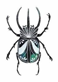 Black And White Striped Beetle Image Bank Beetle Drawing In Black And White Blackandwhiteinsectphotography Animals Pictures Black And White In 2019 Beetle Drawing Black Black White