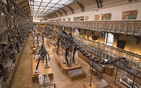 museeum d'histoire naturelle