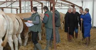 We did not find results for: Le Salon De L Elevage Haut Alpin C Est A Ancelle Ce Week End