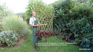 Etienne métézeau vous propose différentes variétés de saule osiers vivants qu'il a sélectionné et qu'il vous aidera à choisir pour vos réalisations suivant la nature du terrain। boutures d'osier pour vos haies , bordures de pelouses ou de massifs de fleurs. Informations Sur L Osier Vivant Osier Vivant