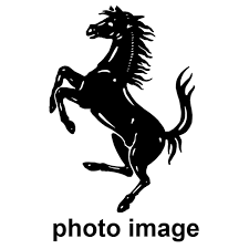 We did not find results for: Adobe Illustrator Vector Tracing By Impactdesign7 Fiverr