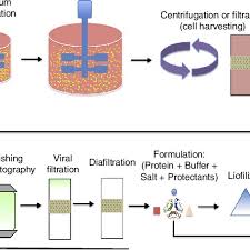 The Biopharmaceutical Manufacturing Technology Flowchart