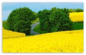 Beautiful Spring Landscape Hd Desktop Wallpaper Widescreen High Definition Fullscreen Spring Landscape Desktop Wallpapers Backgrounds Spring Wallpaper