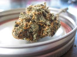 Bring together the finest quality cbd (cannabidiol) with complementary botanicals that taste great. Ungestraft Hinters Steuer Wie Luxemburgs Polizei Zwischen Legalem Und Illegalem Gras Unterscheidet Tageblatt Lu Tageblatt Lu