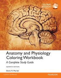 Coloring is an excellent activity for children of all ages. Anatomy And Physiology Coloring Workbook A Complete Study Guide Subscription 11th Edition Pearson
