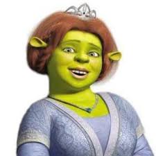 Fiona Hocking (@FionaHocking)