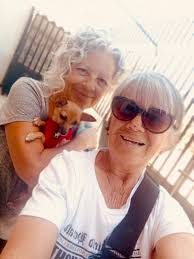 🆘 🆘🆘🆘🆘 please share! 💕💕💕💕Will only travel if adopted! Pico…Cutest  little guy. Rescued a bit ago! All healthy and ready for his new furever  Fam Jam. Love the grey