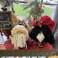 Make a Sweater Gnome at the Bloomin Cottage! event in Phillipsburg, NJ