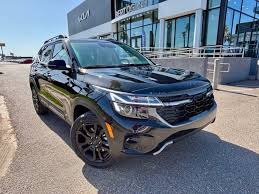 Image result for Black Cherry 2009 SRX