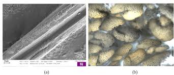 Plant Fibres For Textile And Technical Applications Intechopen